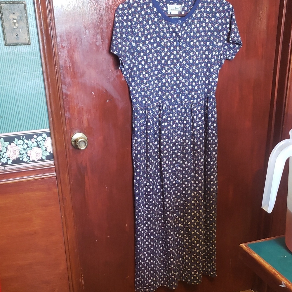 L.L. Bean Blue and White Casual Maxi Sundress